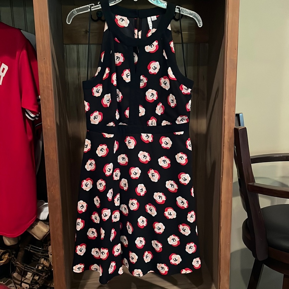NWOT size 10 A line dress in black with red/pink floral